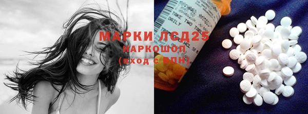 Альфа ПВП Горняк