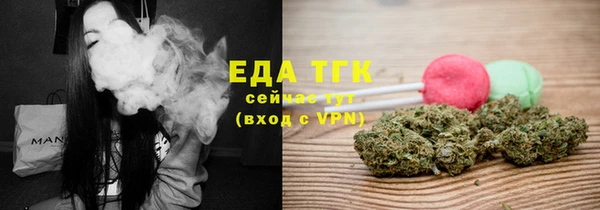 Альфа ПВП Горняк