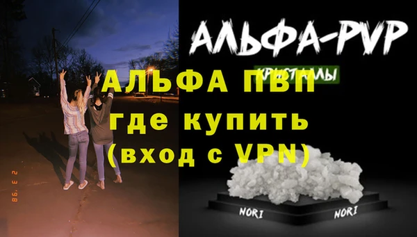 стаф Горнозаводск