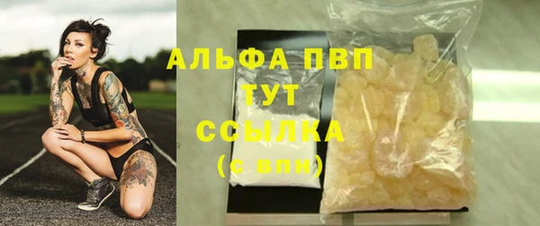 Альфа ПВП Горняк