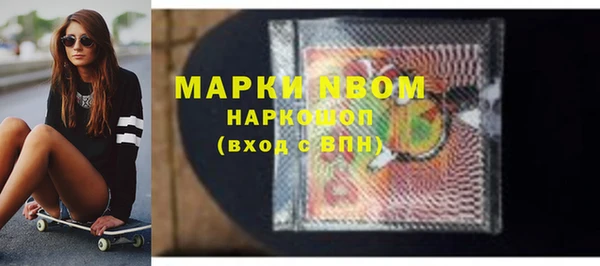 Альфа ПВП Горняк