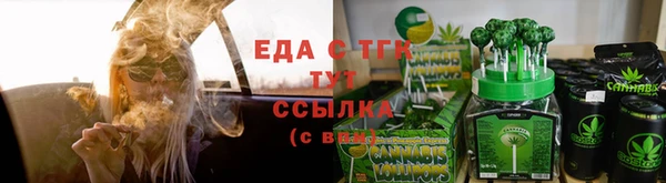 Альфа ПВП Горняк