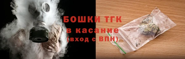 стаф Горнозаводск