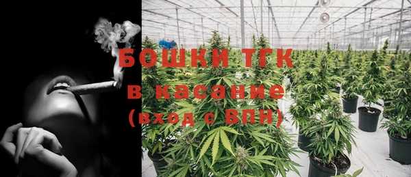 стаф Горнозаводск