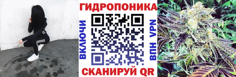 Конопля MAZAR  Купить где  Томилино 